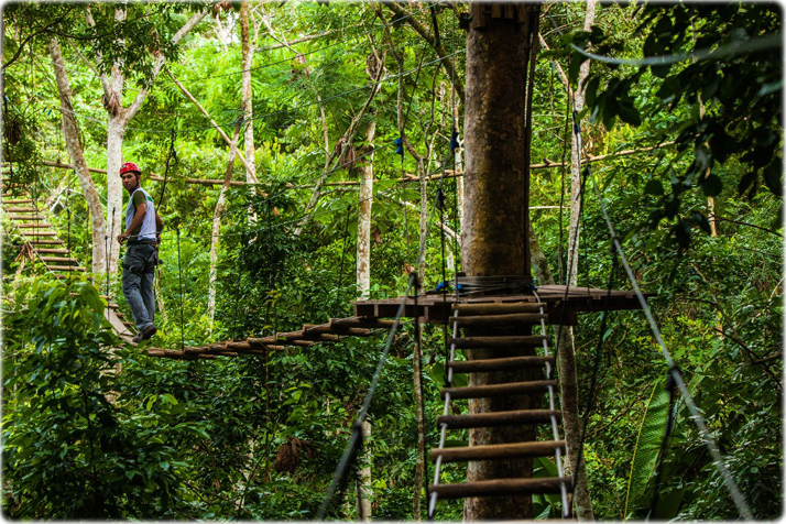 Selva