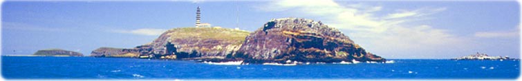 Abrolhos
