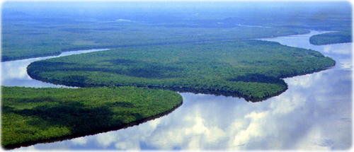 Mata Amazonas
