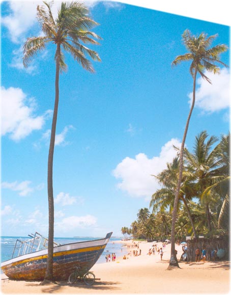 Praias Da Bahia Proximas A Salvador