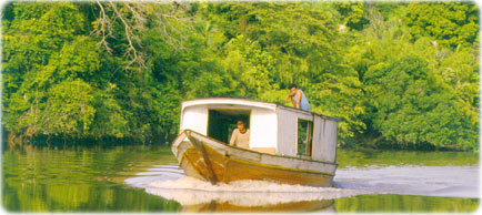 Igarape Amazonia