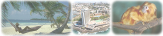 Fotos Brasil