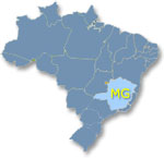 MG Brasil
