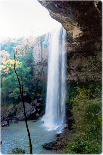 Cachoeira Serra Gaucha