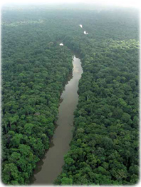 Parque Amazonia
