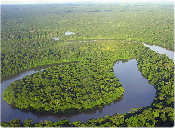 Floresta Amazonas