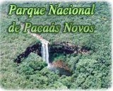Pacaas Novos